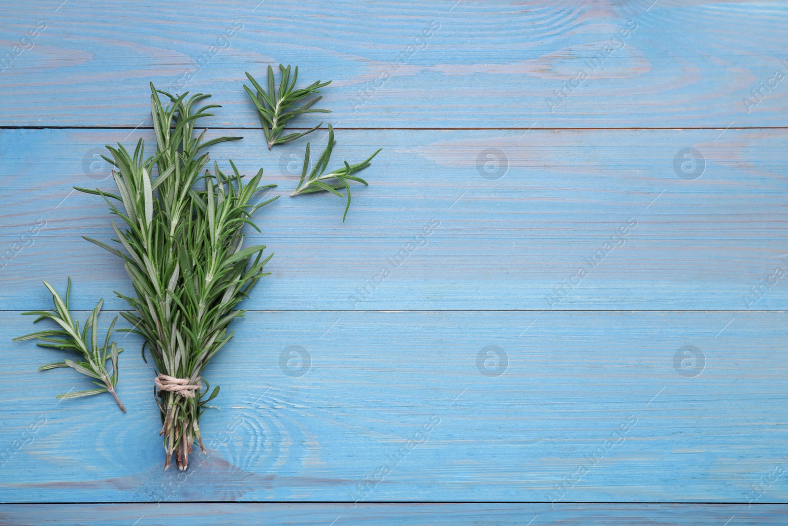 Photo of Bunch of rosemary on light blue wooden table, top view. Space for text