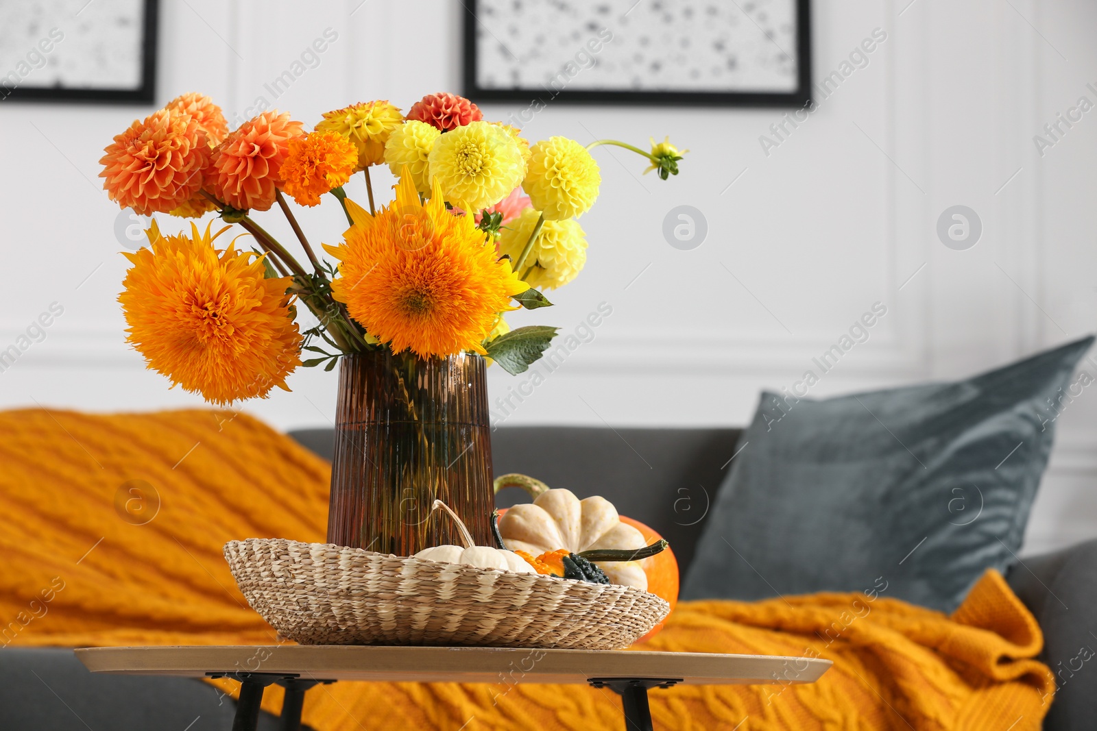 Photo of Beautiful autumn bouquet and pumpkins on coffee table near sofa in room