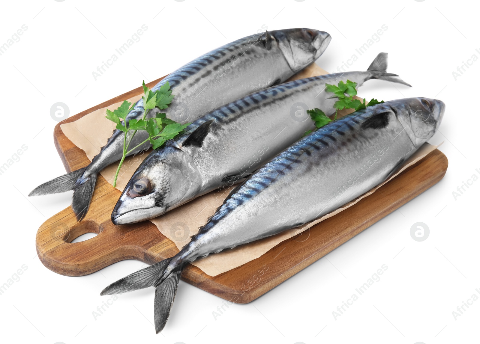 Photo of Mackerel fish with parsley on white background