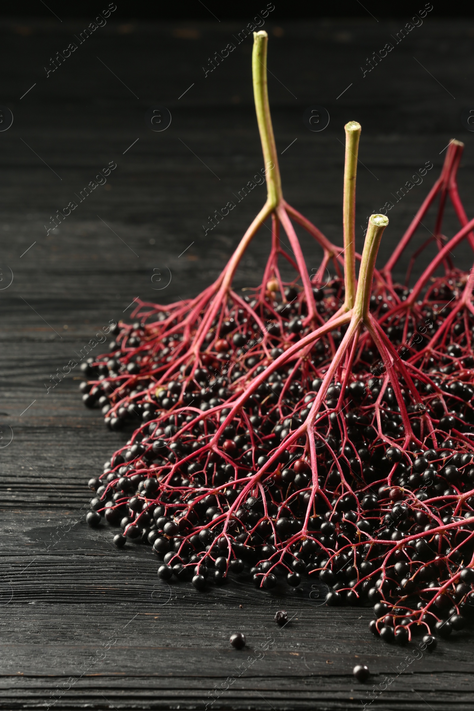 Photo of Bunches of ripe elderberries on black wooden table