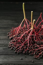 Photo of Bunches of ripe elderberries on black wooden table