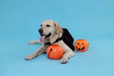 Photo of Cute Labrador Retriever dog in black cloak with Halloween buckets on light blue background