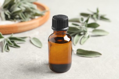 Bottle of essential sage oil and leaves on light grey table