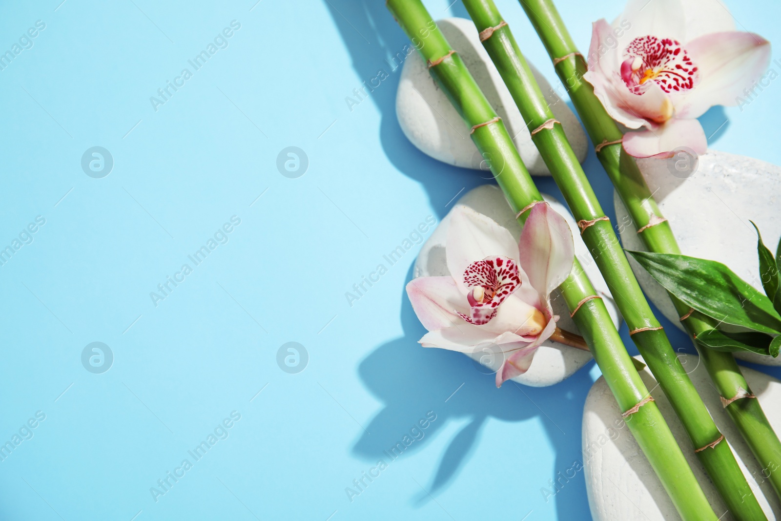 Photo of Composition with bamboo branches, flowers and spa stones on color background, top view. Space for text