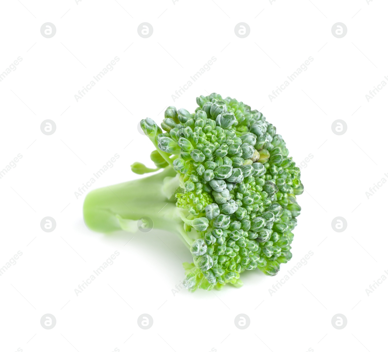 Photo of Fresh green raw broccoli on white background