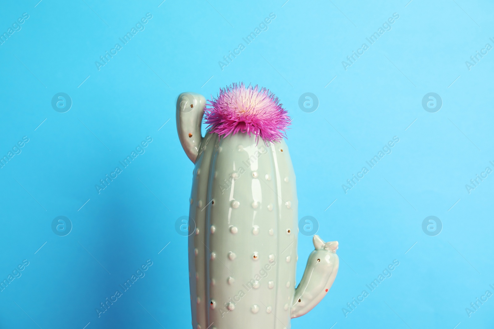 Photo of Trendy cactus shaped ceramic vase with flower on color background