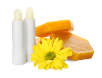 Photo of Hygienic lipsticks, natural beeswax and flower on white background