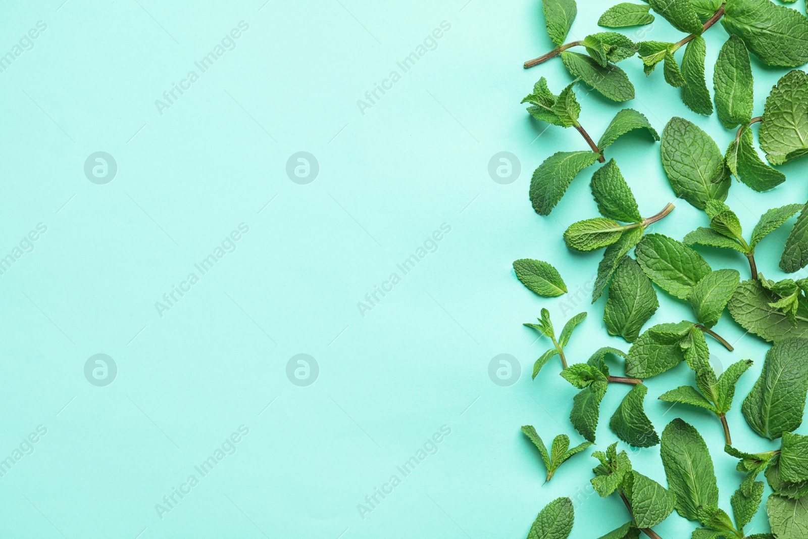 Photo of Fresh green mint leaves on blue background, flat lay. Space for text