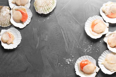 Photo of Fresh raw scallops on grey table, flat lay. Space for text