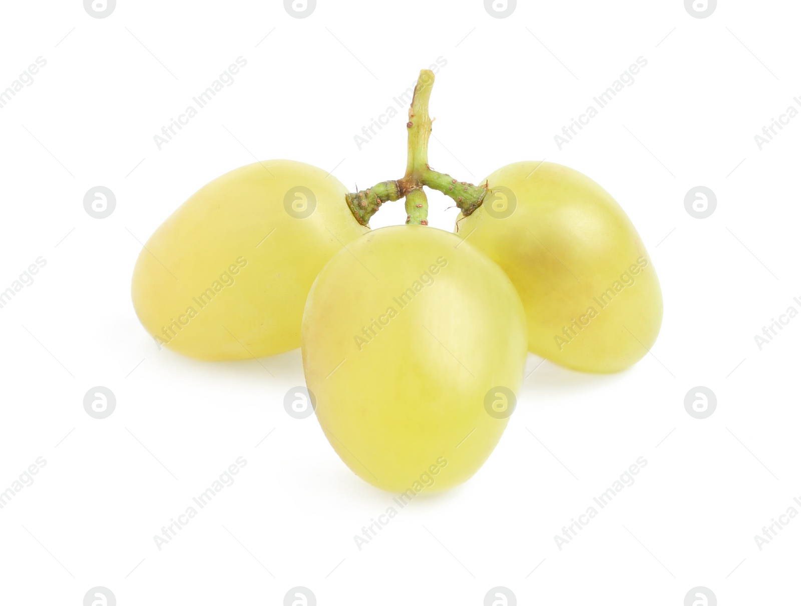 Photo of Delicious ripe green grapes isolated on white