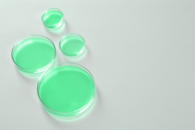 Petri dishes with green liquid on white table, space for text. Laboratory glassware