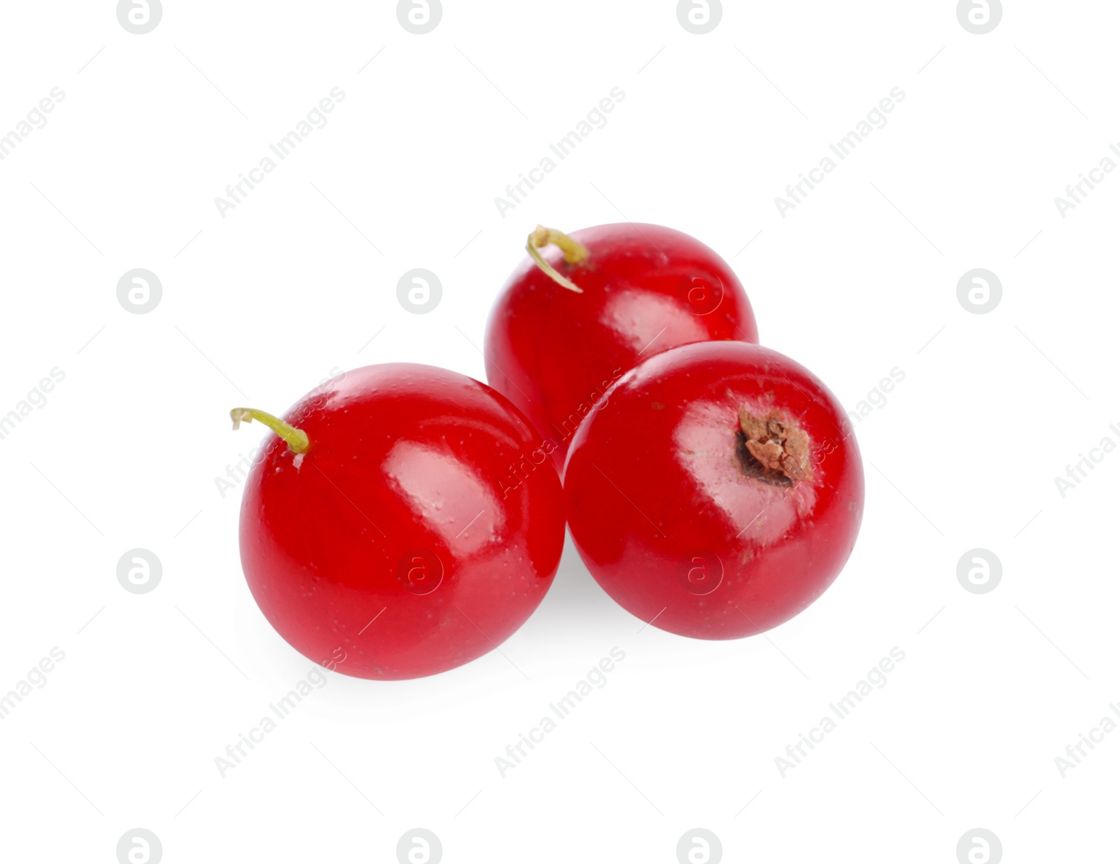 Photo of Fresh ripe red currant berries isolated on white