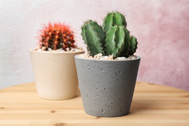 Beautiful cacti on wooden table