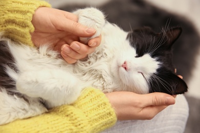 Photo of Woman stroking adorable cat on her knees, closeup