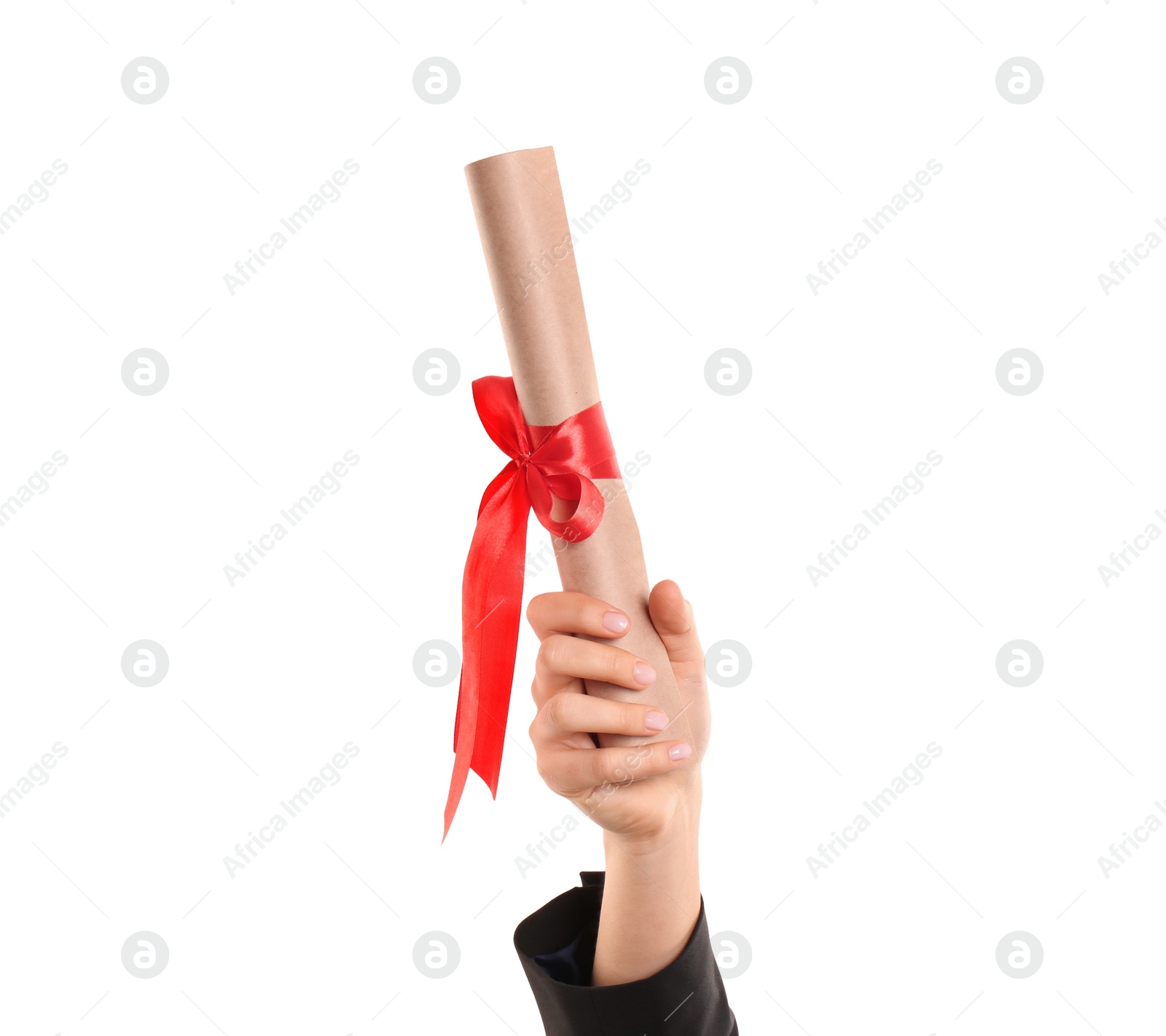 Photo of Student holding rolled diploma with red ribbon on white background, closeup