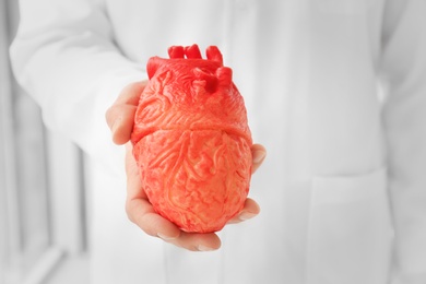 Photo of Doctor holding model of heart, closeup. Heart attack concept