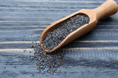 Poppy seeds in scoop on blue wooden table