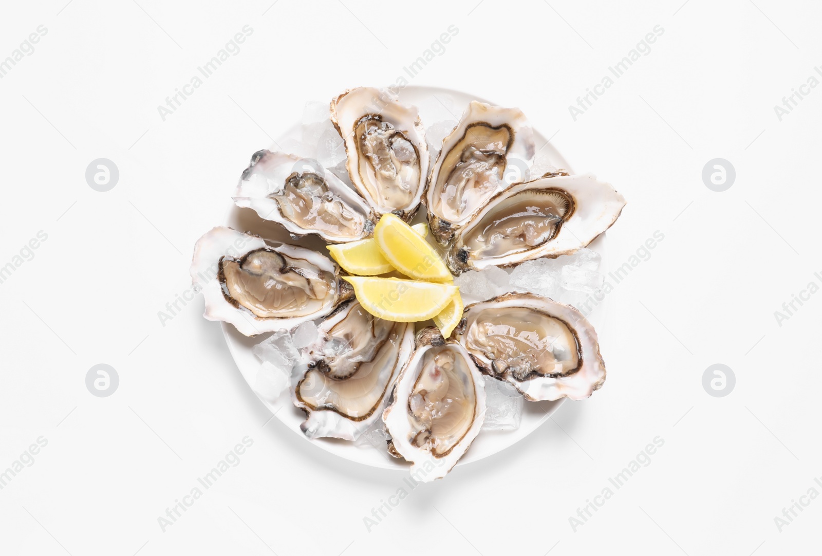 Photo of Delicious fresh oysters with lemon slices isolated on white, top view