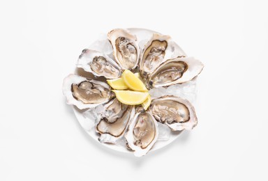 Delicious fresh oysters with lemon slices isolated on white, top view
