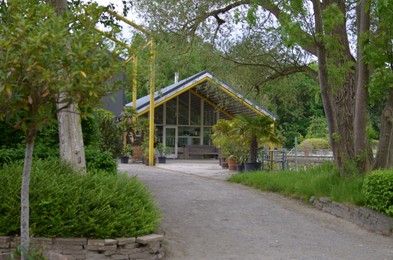 Photo of Beautiful pergola and different plants in park