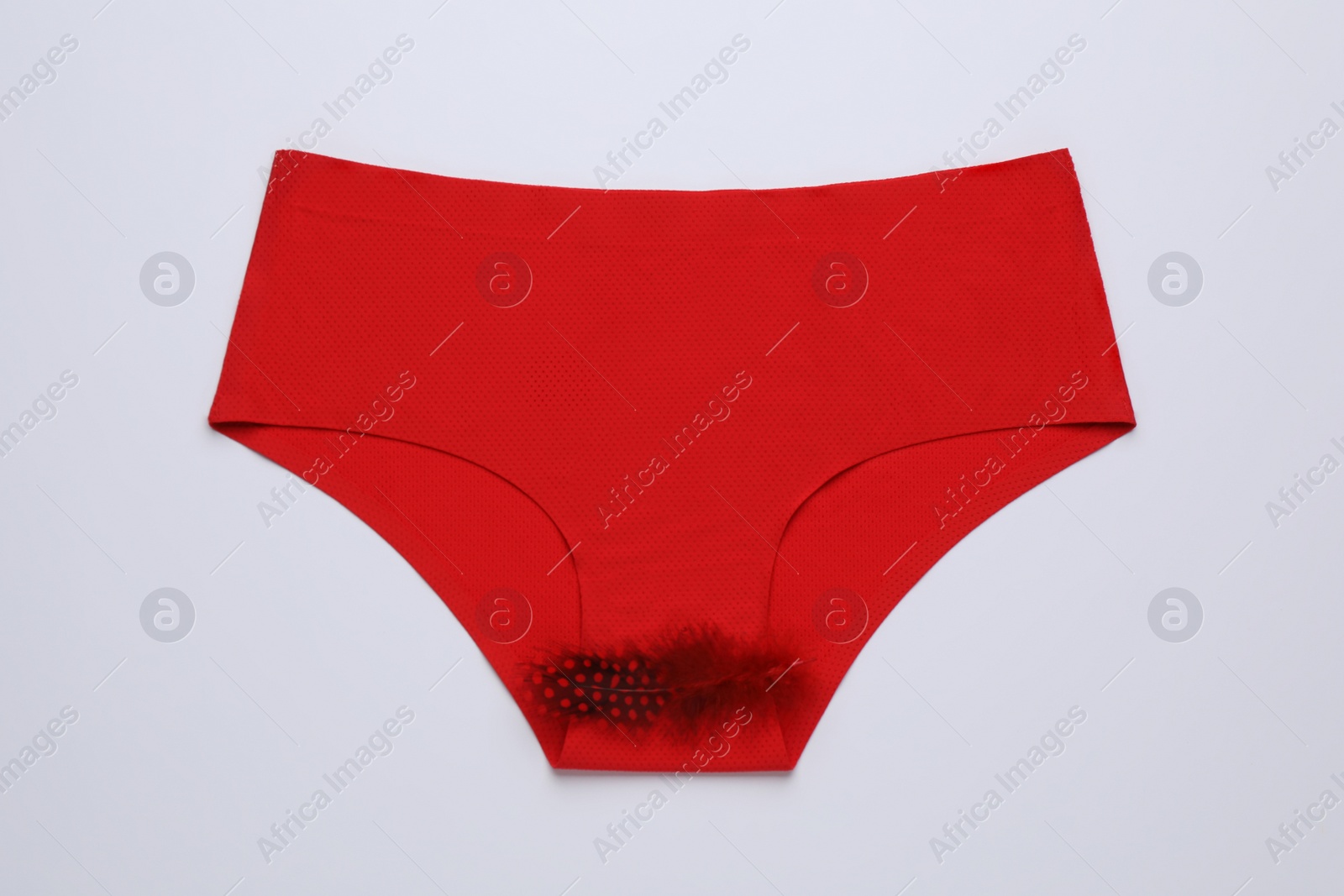 Photo of Woman's panties with red feather on white background, top view. Menstrual cycle