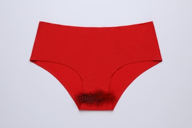 Photo of Woman's panties with red feather on white background, top view. Menstrual cycle
