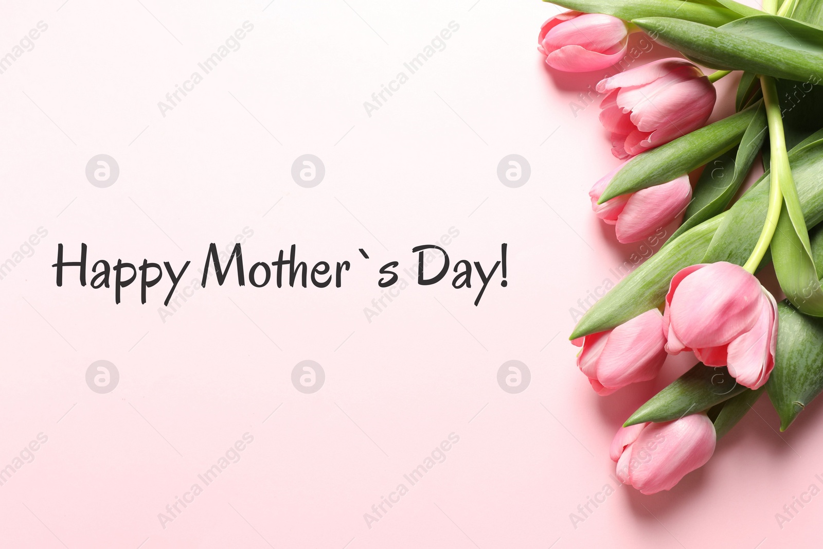 Image of Happy Mother's Day greeting card. Beautiful tulip flowers on pink background
