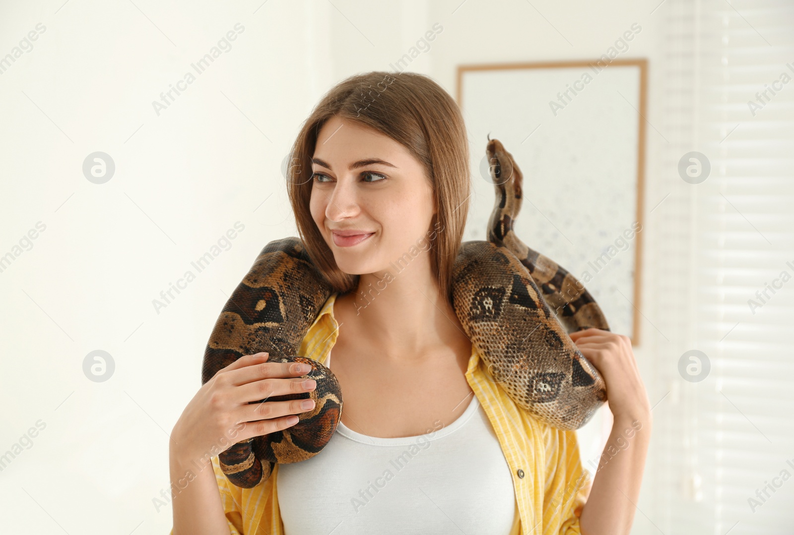 Photo of Young woman with boa constrictor at home. Exotic pet