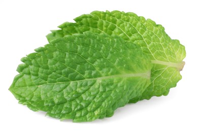 Photo of Fresh green mint leaves isolated on white