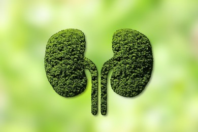 Human kidneys model made of trees with green leaves against blurred background. Health care concept