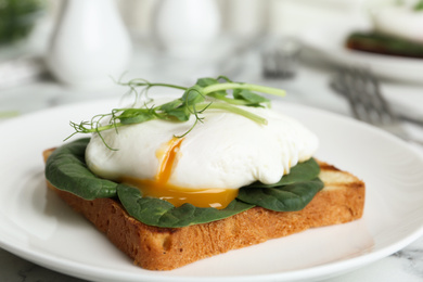 Photo of Delicious poached egg sandwich served on plate, closeup