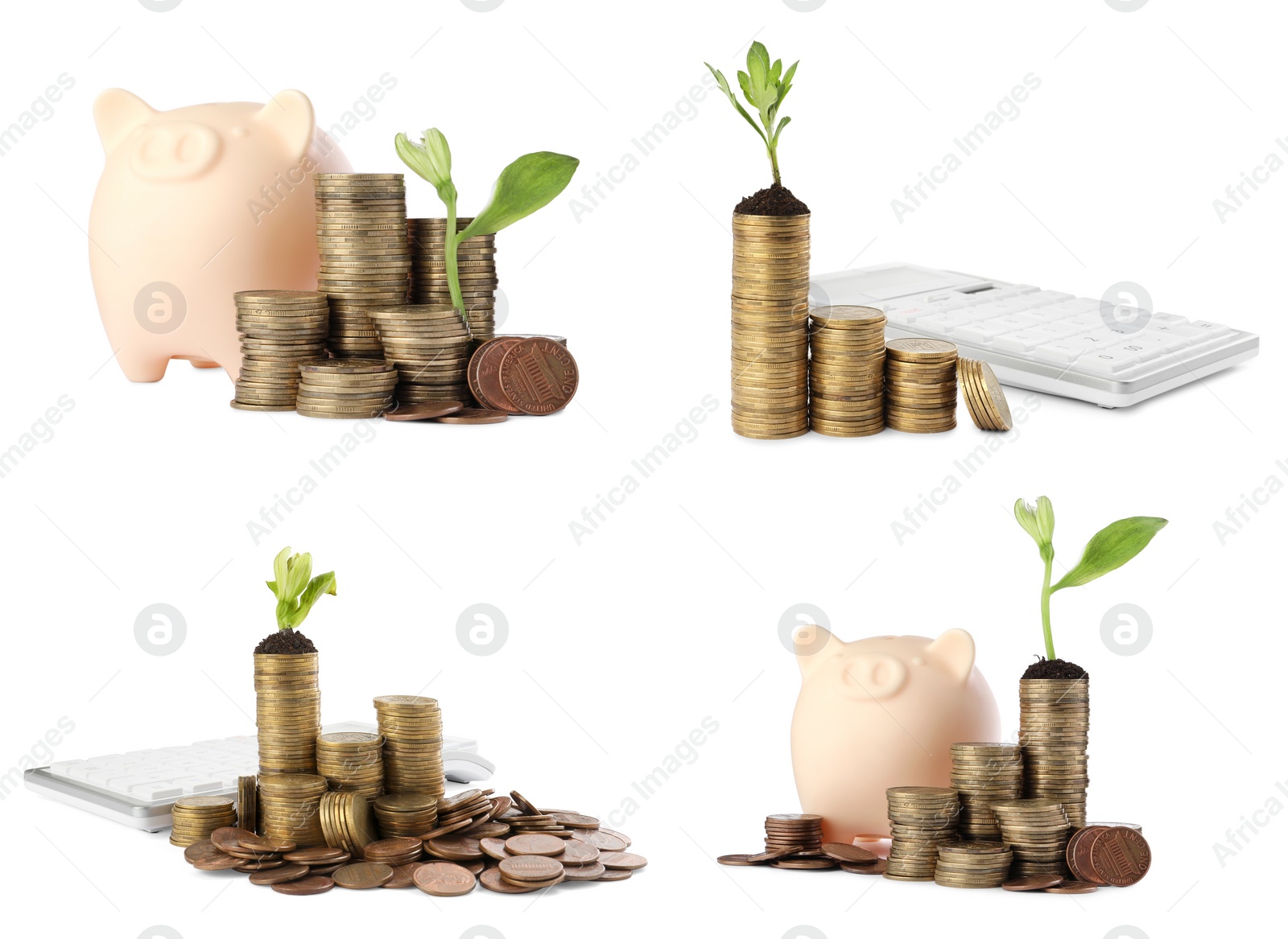 Image of Set with stacks of coins, growing plants, calculators and piggy banks on white background. Successful investment