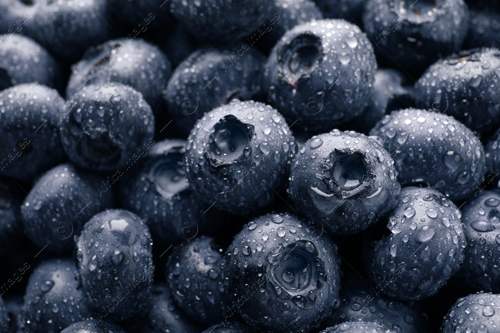 Photo of Wet fresh blueberries as background, closeup view