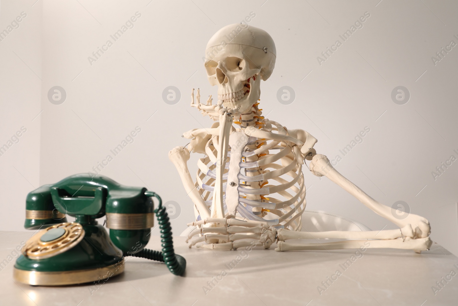 Photo of Waiting concept. Human skeleton at table with corded telephone against light grey background