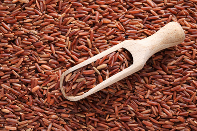 Pile of brown rice with scoop, top view