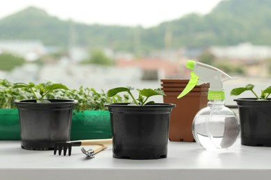 Seedlings growing in plastic containers with soil, gardening tools and spray bottle on windowsill