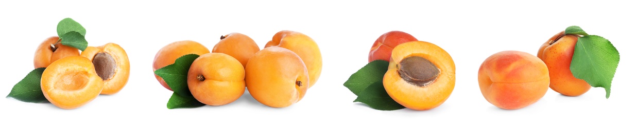 Image of Set of fresh apricots on white background. Banner design