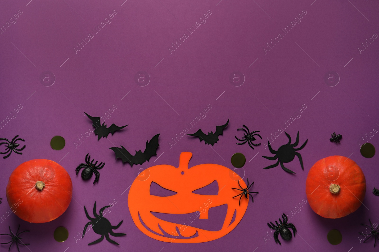 Photo of Flat lay composition with pumpkins, paper bats and spiders on purple background, space for text. Halloween celebration