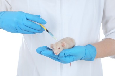 Photo of Scientist with syringe and rat on white background, closeup. Animal testing concept