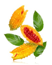 Image of Delicious ripe bitter melons and leaves falling on white background