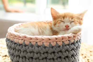 Photo of Cute little red kitten sleeping in knitted basket at home