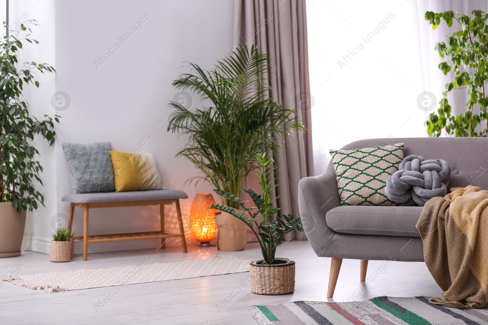 Photo of Stylish modern room interior with exotic houseplants