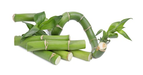 Photo of Pieces of beautiful green bamboo stems on white background