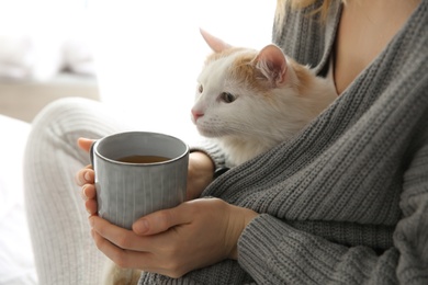 Photo of Woman with cute fluffy cat and tea on light background, closeup