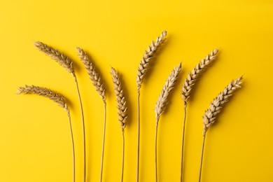 Photo of Ears of wheat on yellow background, flat lay