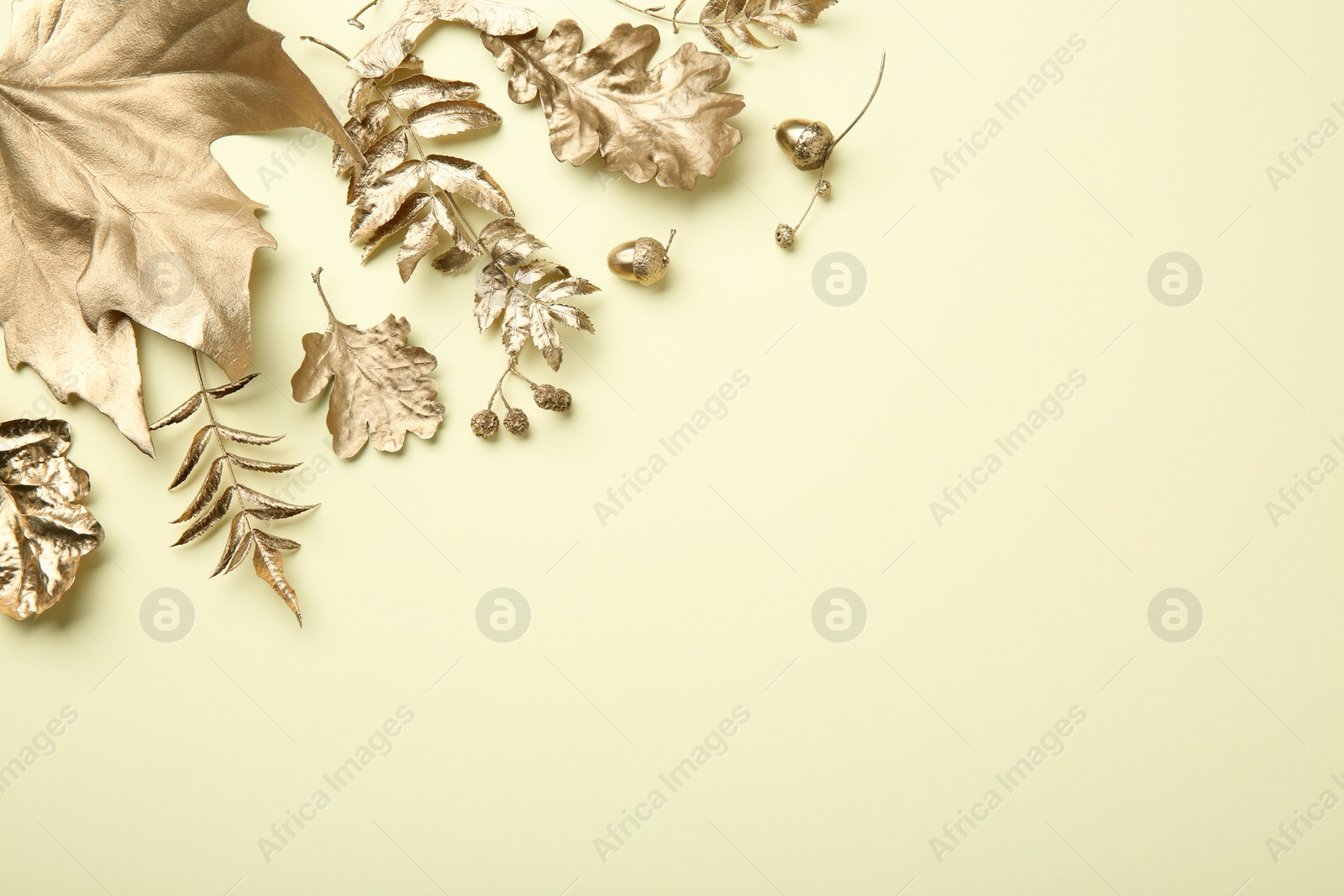 Photo of Beautiful golden leaves, berries and acorns on beige background, flat lay with space for text. Autumn decor