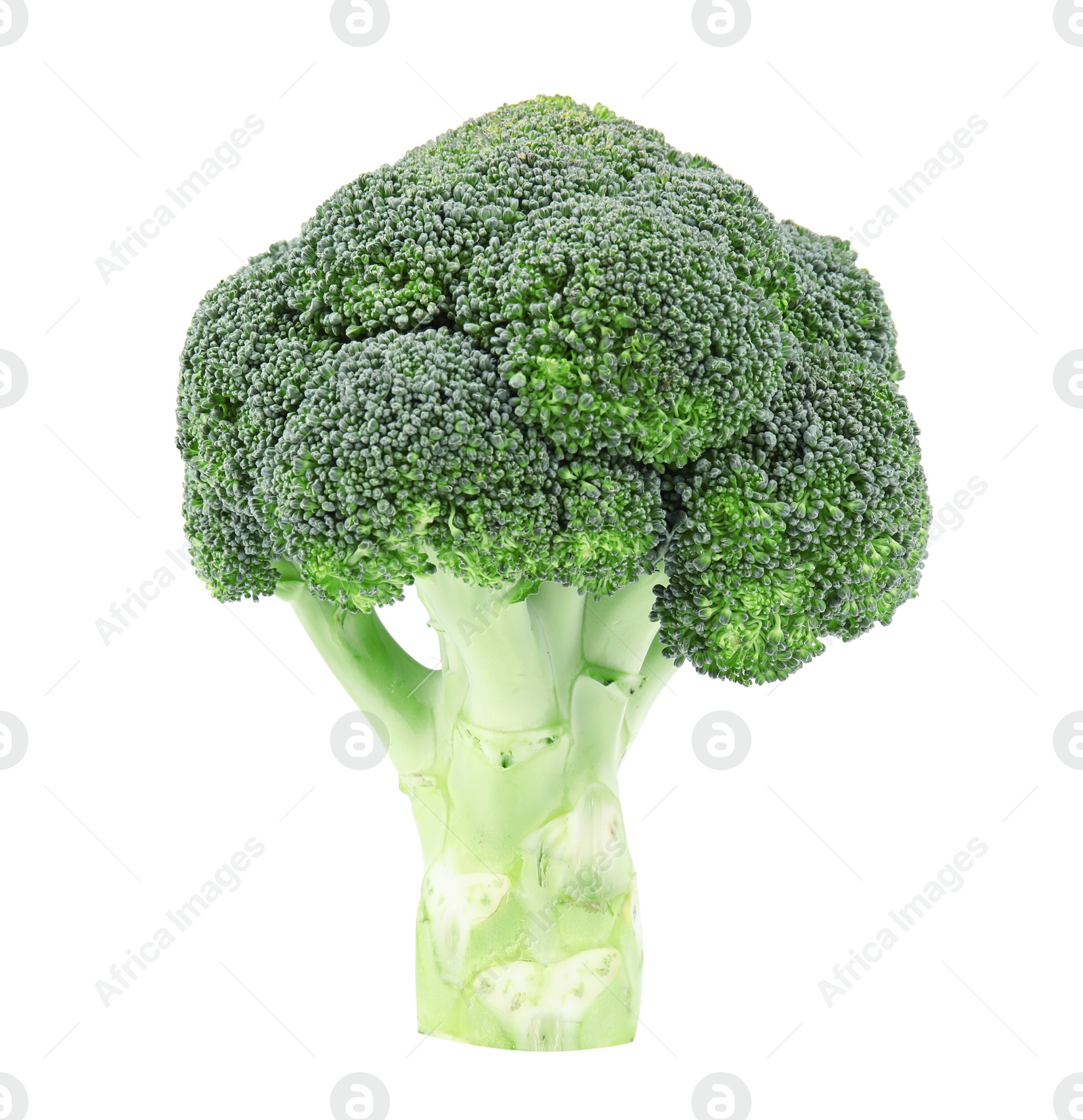 Photo of Fresh green broccoli on white background. Organic food