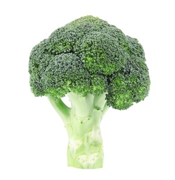 Photo of Fresh green broccoli on white background. Organic food