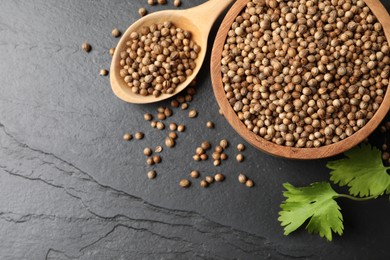 Photo of Dried coriander seeds in bowl, spoon and green leaves on dark gray textured table, flat lay. Space for text