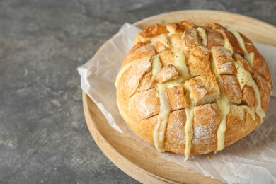 Freshly baked bread with tofu cheese on grey table. Space for text